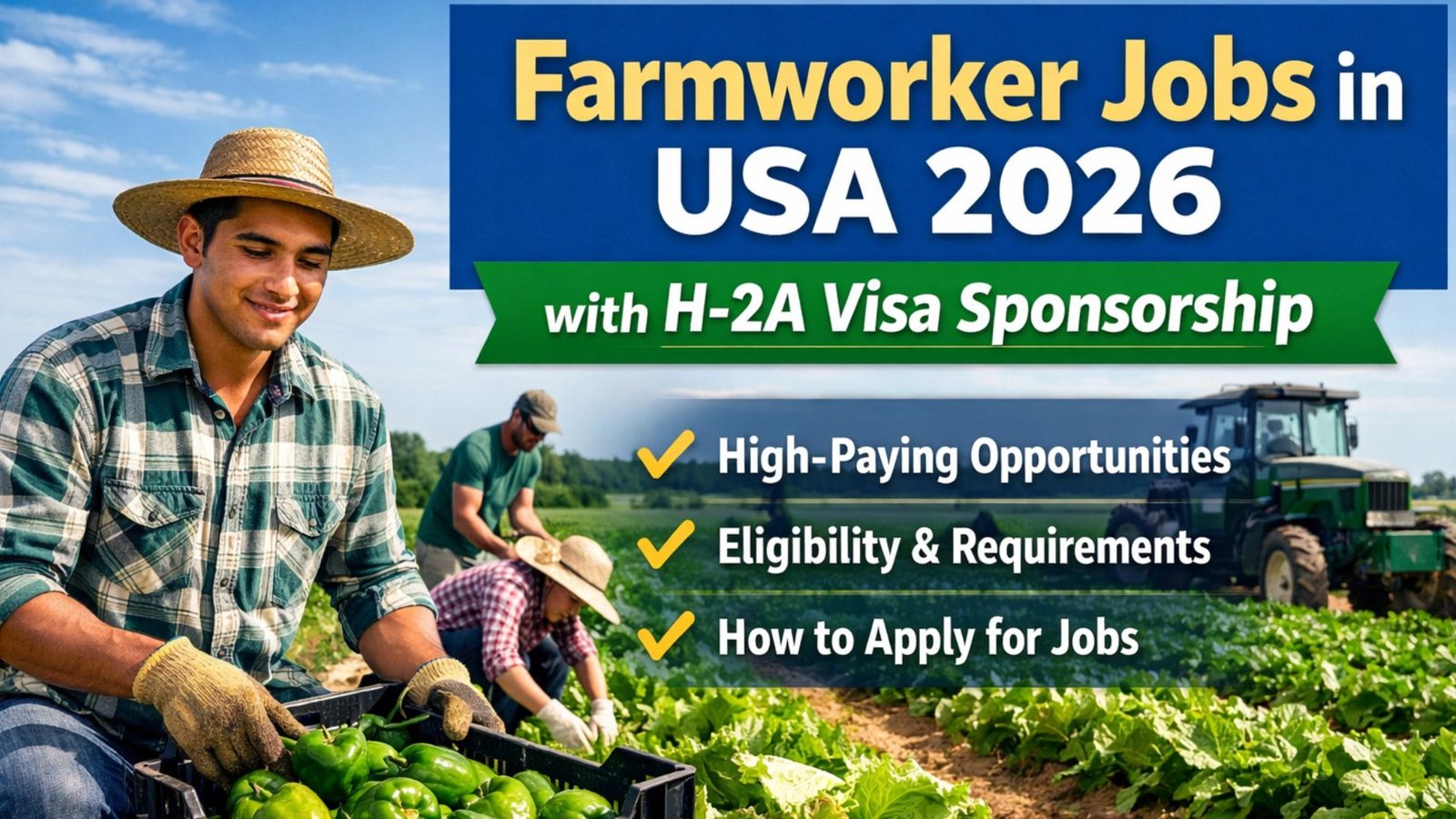 Farmworker harvesting vegetables on a U.S. farm field for seasonal agricultural work under the H-2A visa program.